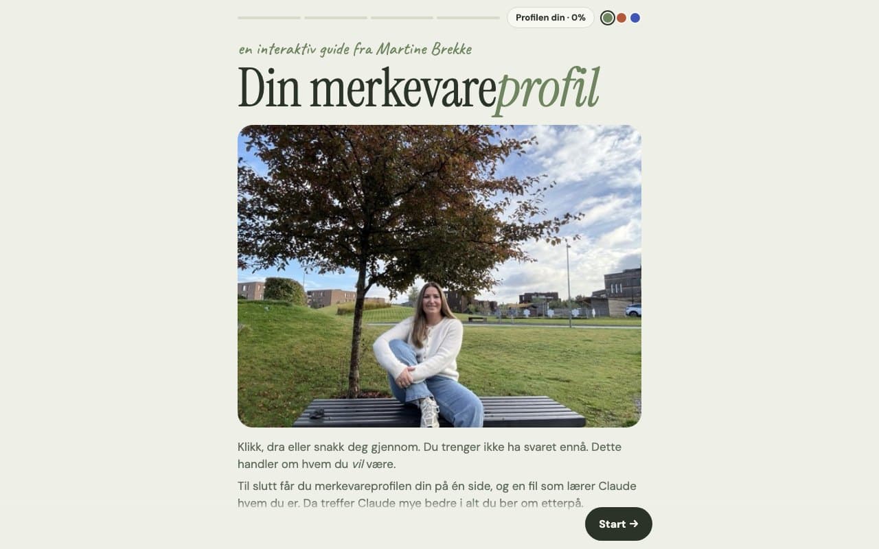 Startsiden til den interaktive guiden Din merkevareprofil